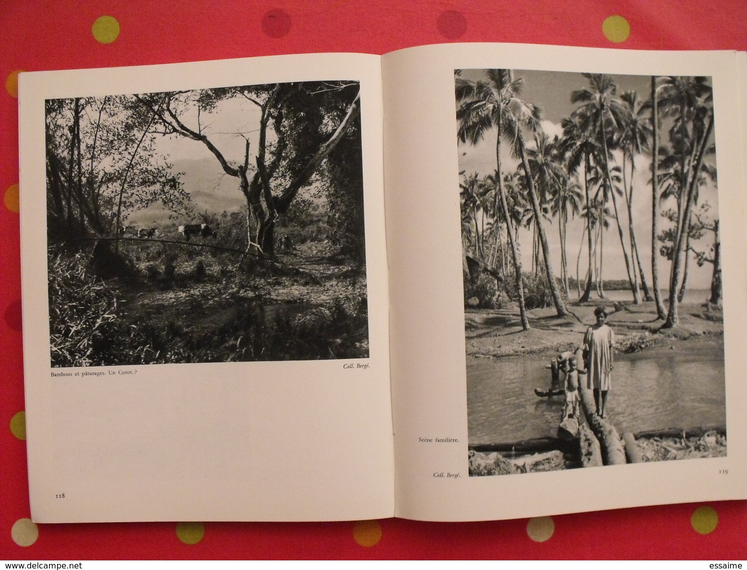 nouvelle calédonie centenaire 1853-1953. jean mariotti. horizons de france 1953. nouméa. nombreuses photos