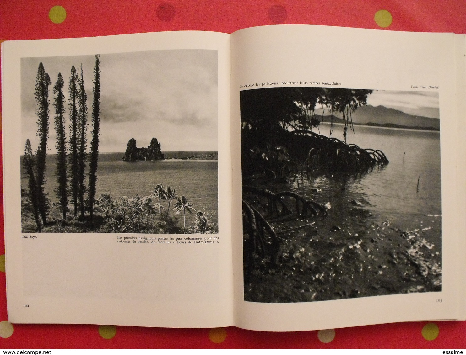 nouvelle calédonie centenaire 1853-1953. jean mariotti. horizons de france 1953. nouméa. nombreuses photos