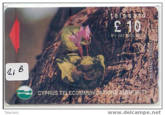 Télécarte CYPRUS (21CYPB) Phonecard - Chypre