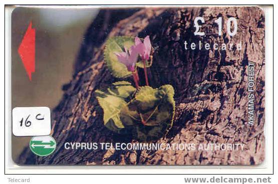 Télécarte CYPRUS (16CYPC) Phonecard - Chypre