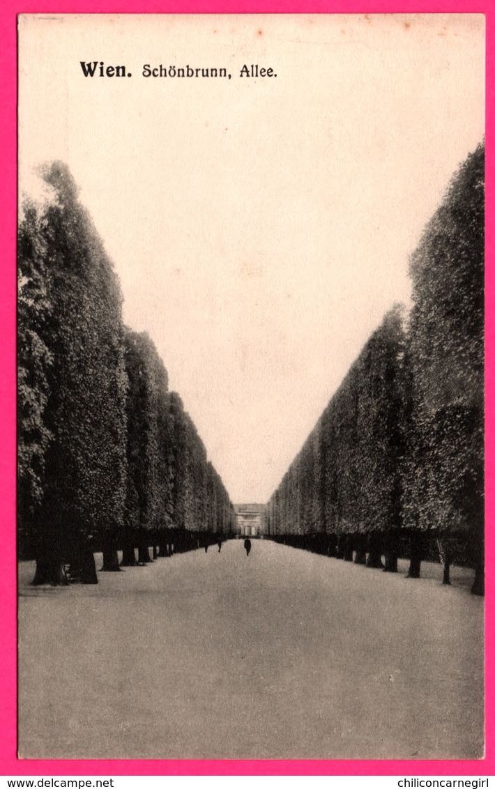 Wien - Schönbrunn - Allée - Animée - B.K.W.I. 615 - Château De Schönbrunn