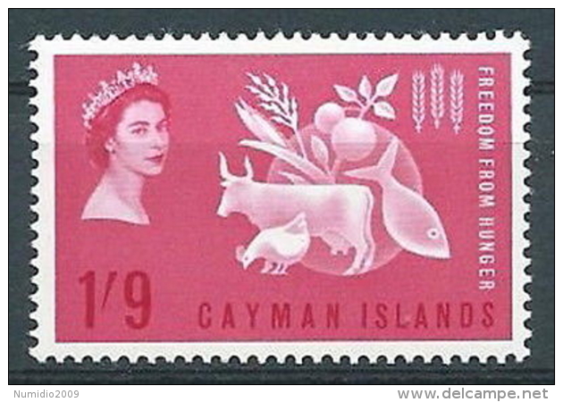 1963 CAYMAN ISLANDS LOTTA CONTRO LA FAME MNH ** - GB002 - Cayman (Isole)