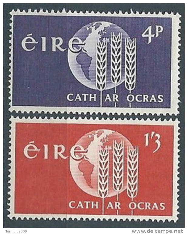 1963 EIRE LOTTA CONTRO LA FAME MNH ** - GB002 - Nuovi