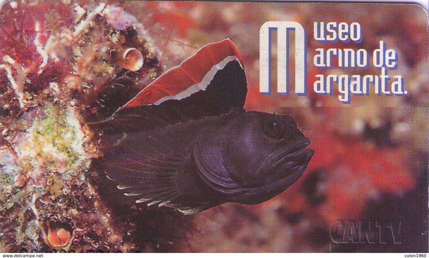 TARJETA TELEFONICA DE VENEZUELA (MUSEO MARINO DE MARGARITA) (386) - Peces