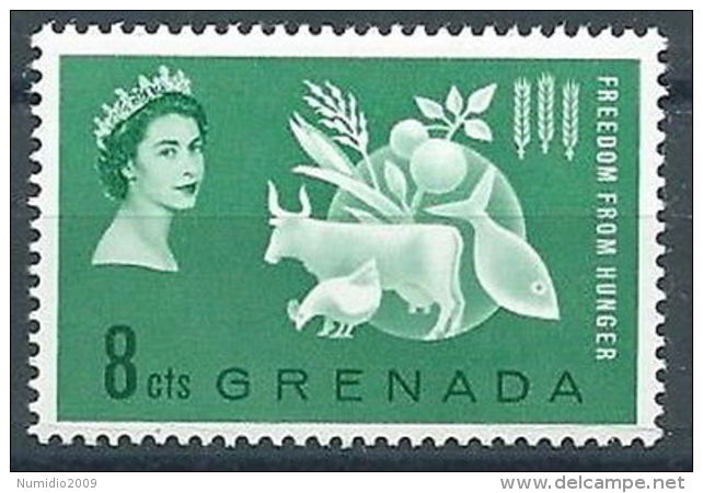 1963 GRENADA LOTTA CONTRO LA FAME MNH ** - GB002 - Grenada (1974-...)