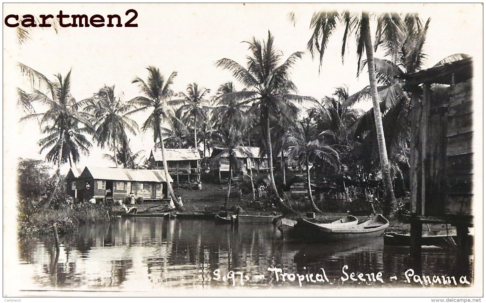 CARTE PHOTO : PANAMA TROPICAL SCENE COLON REAL PHOTO PANAMA - Panama