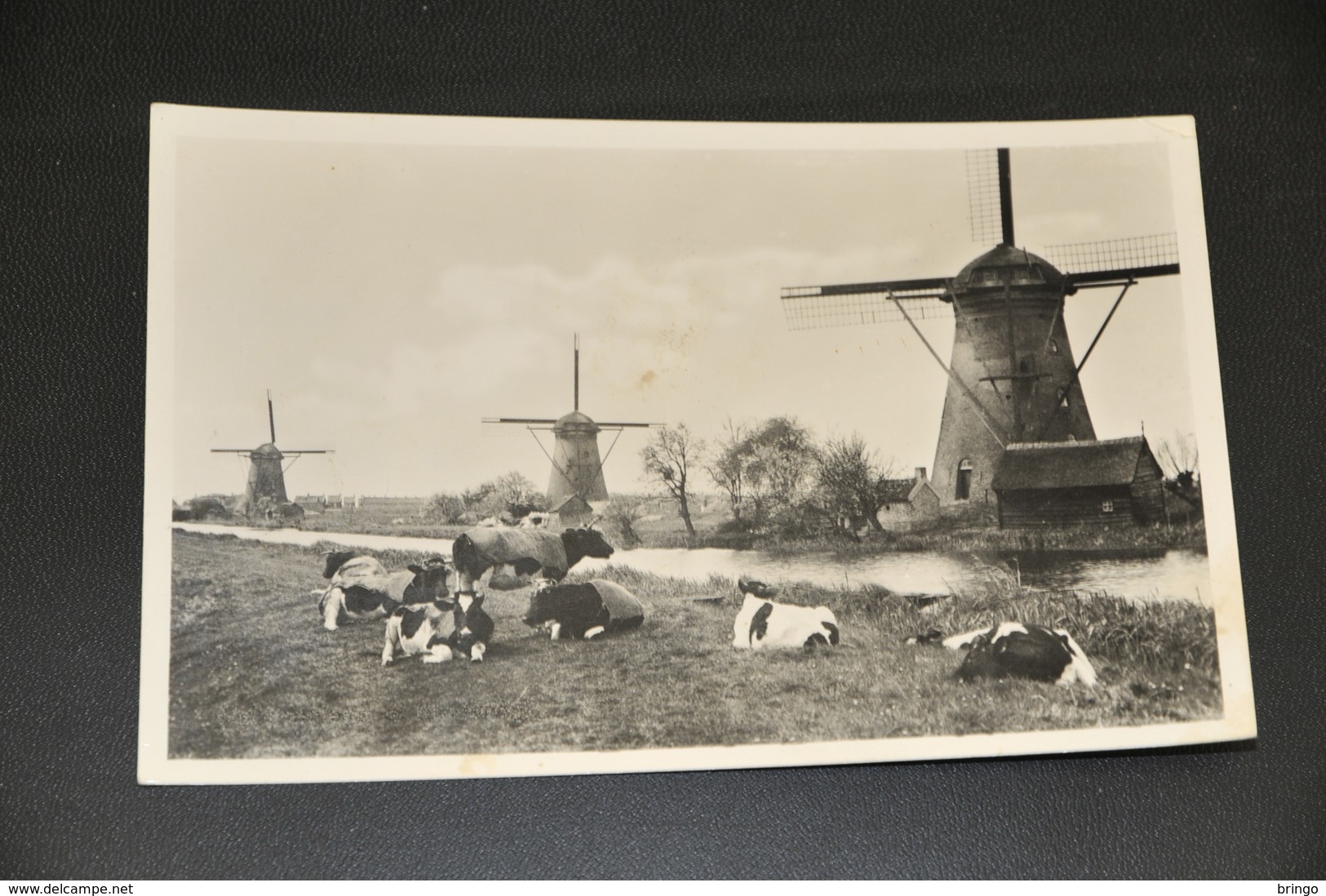 854- Kinderdijk - 1955 - Kinderdijk