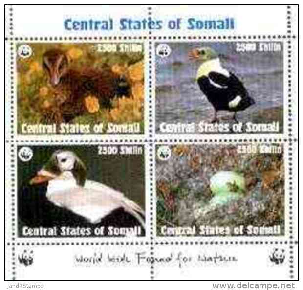 27623 Somalia (Central States) 1998 WWF - Birds Sheetlet Containing Set Of 4 Unmounted Mint - Somalia (1960-...)
