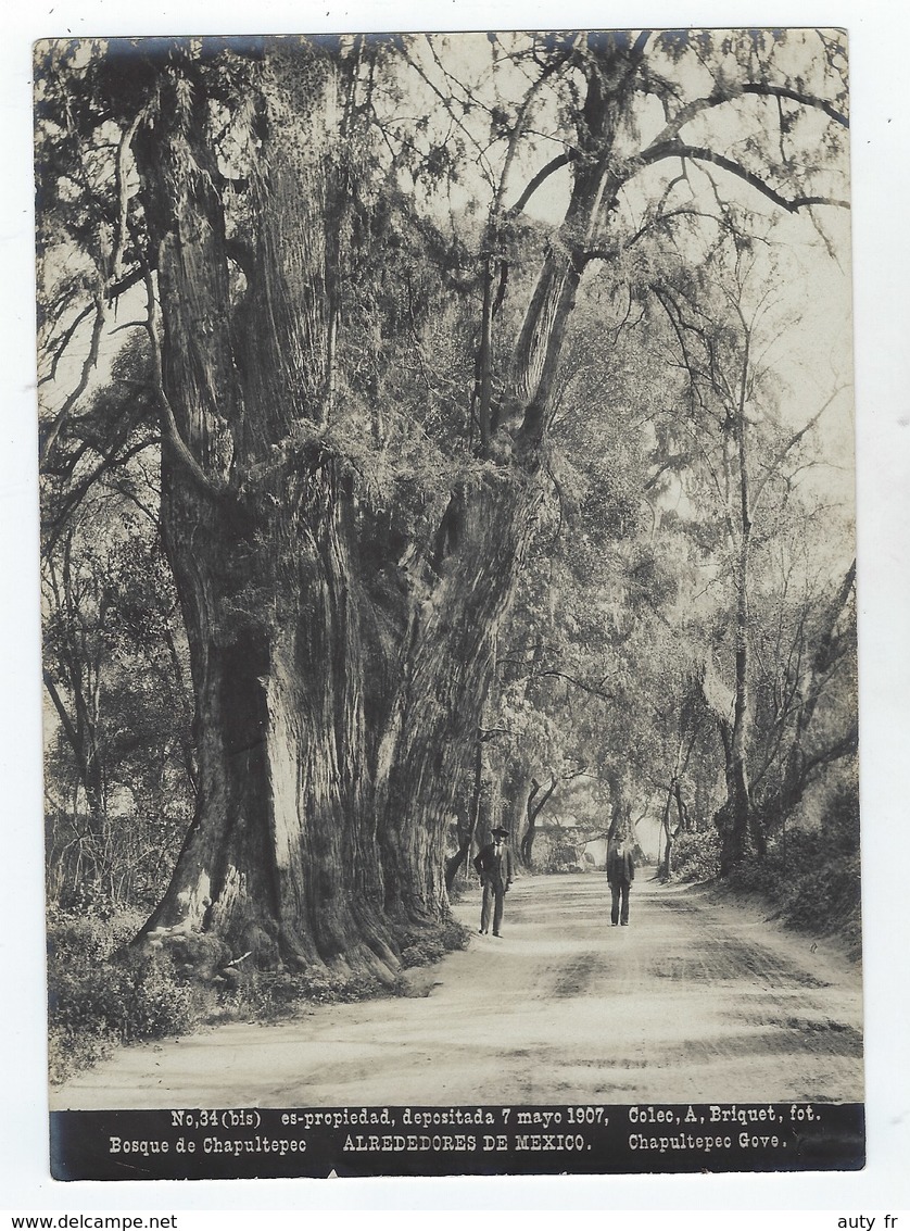 Alrededores De MEXICO - Bosque De Chapultepec - Foto A. Briquet 1907 - N° 34 Bis - Ancianas (antes De 1900)