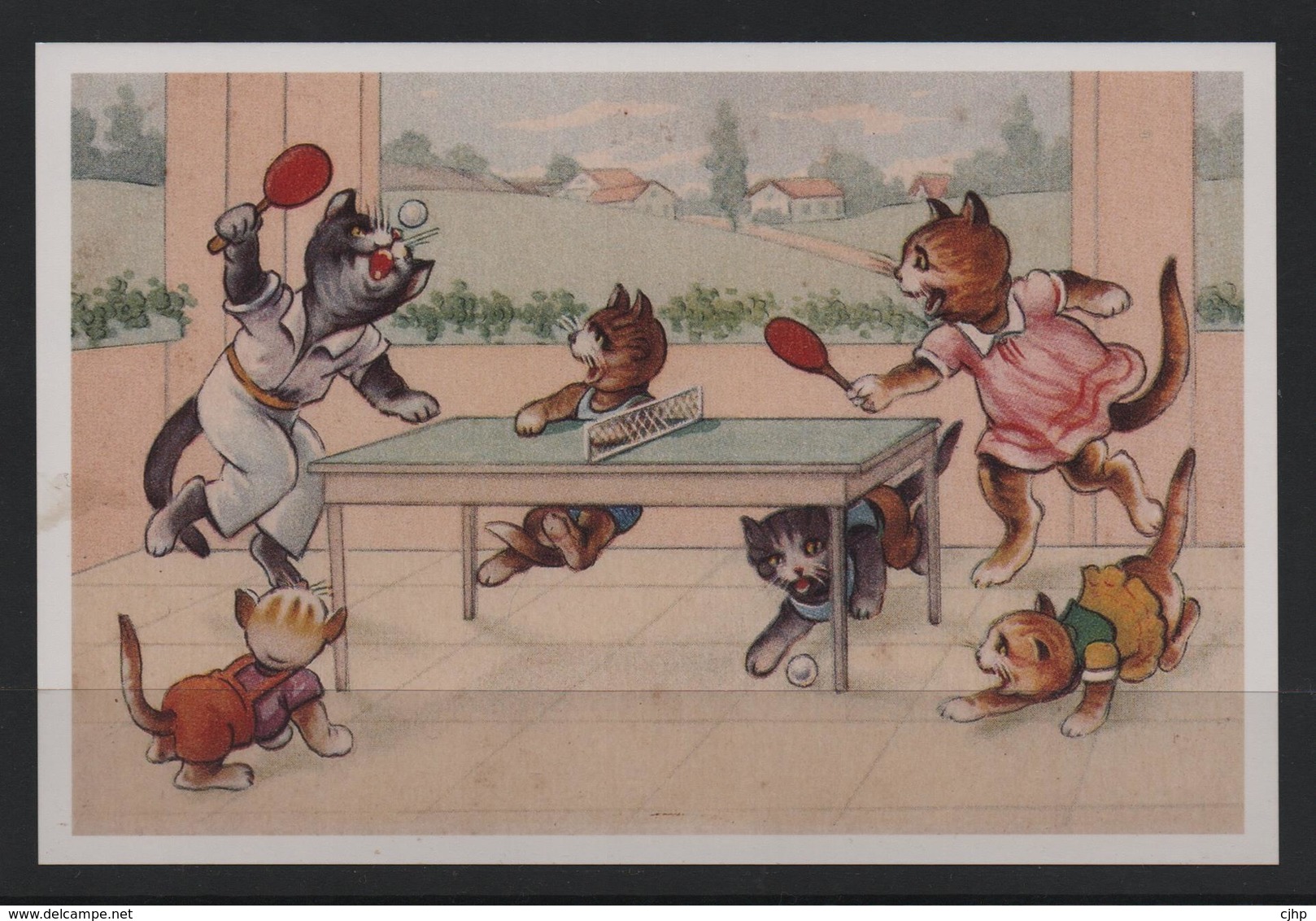 Photo Repro  Tennis De Table Humour Cat Chat Ping - Table Tennis