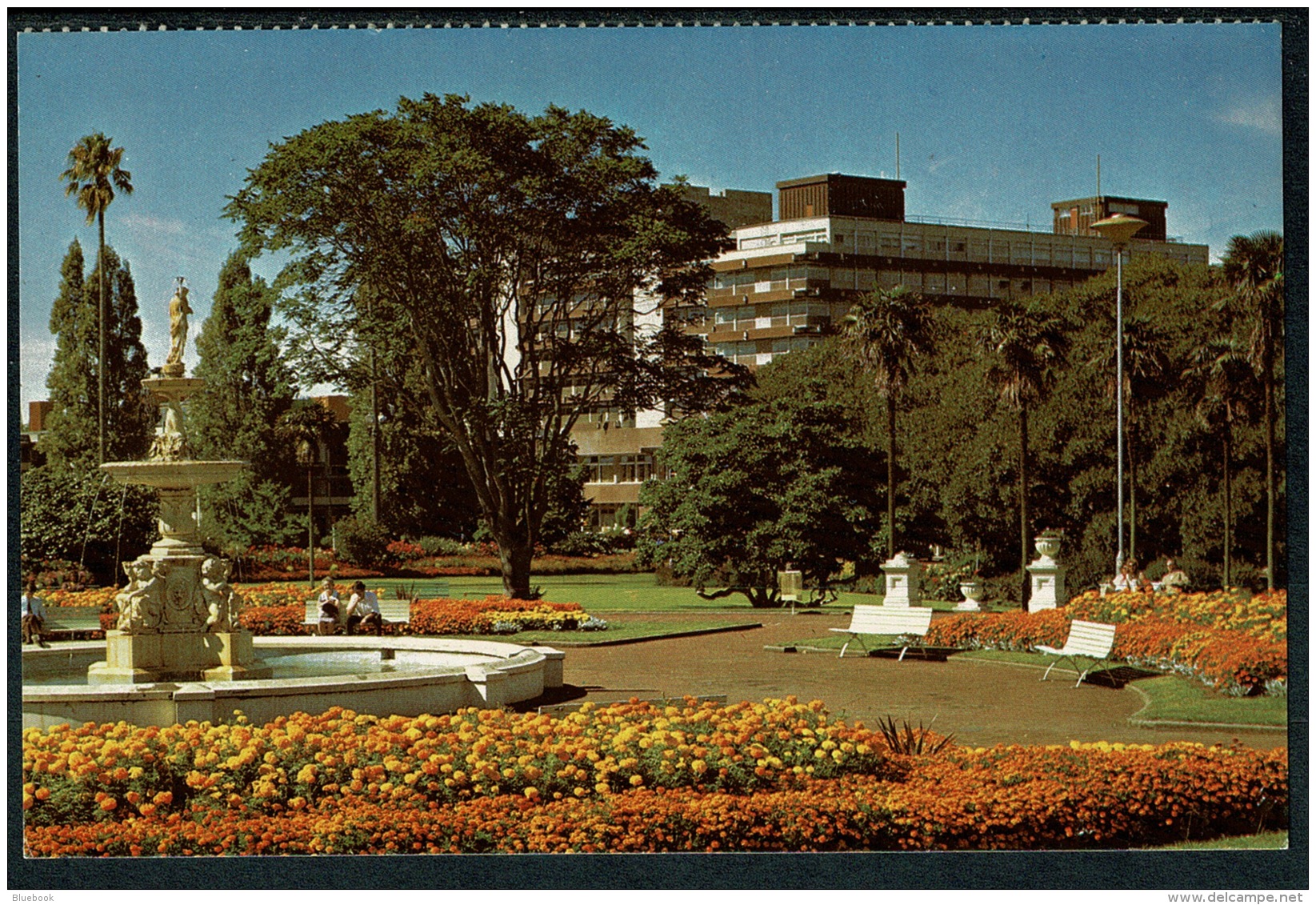 RB 1224 - New Zealand Postcard - Fountain At Albert Park Auckland - New Zealand