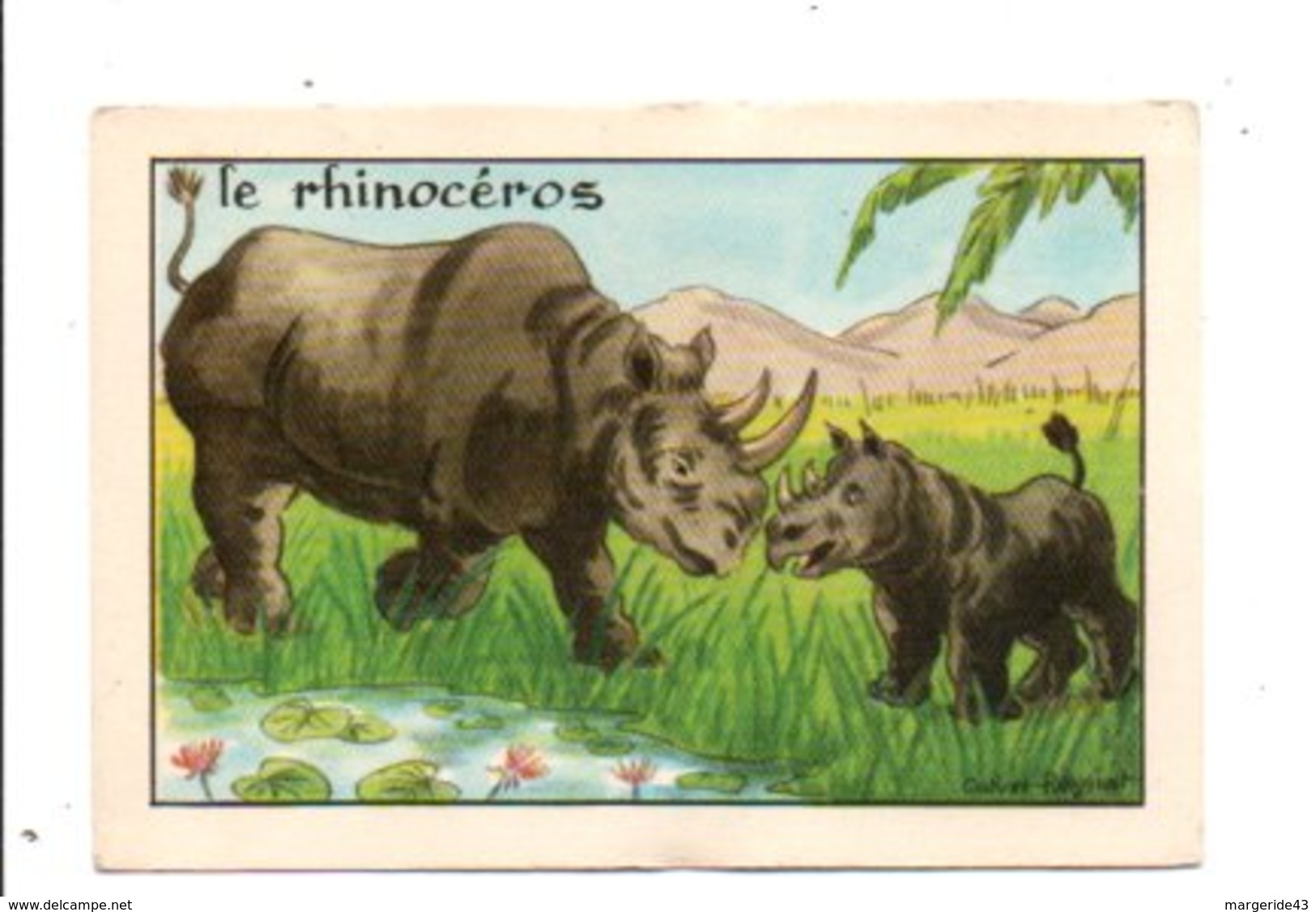 CHROMOS BON POINT - ANIMAUX - LE RHINOCEROS - Chèques & Chèques De Voyage