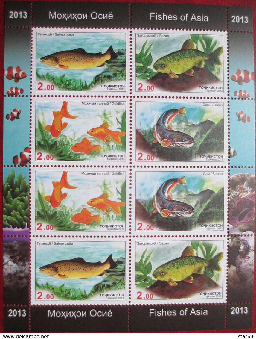 Tajikistan  2013  Fishes   M/S  MNH - Tadjikistan