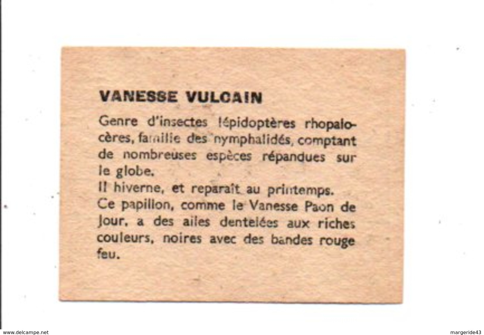 CHROMOS BON POINT - PAPILLONS - VANESSE VULCAIN - Chèques & Chèques De Voyage