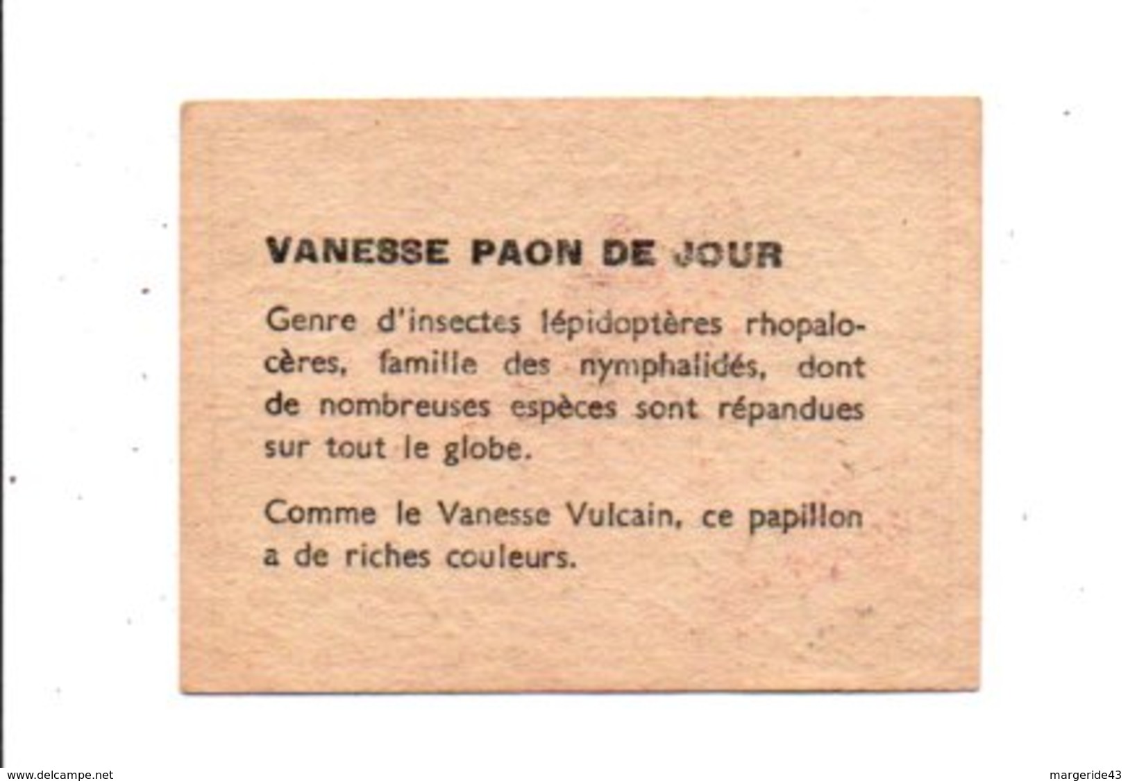 CHROMOS BON POINT - PAPILLONS - VANESSE PAON DU JOUR - Chèques & Chèques De Voyage
