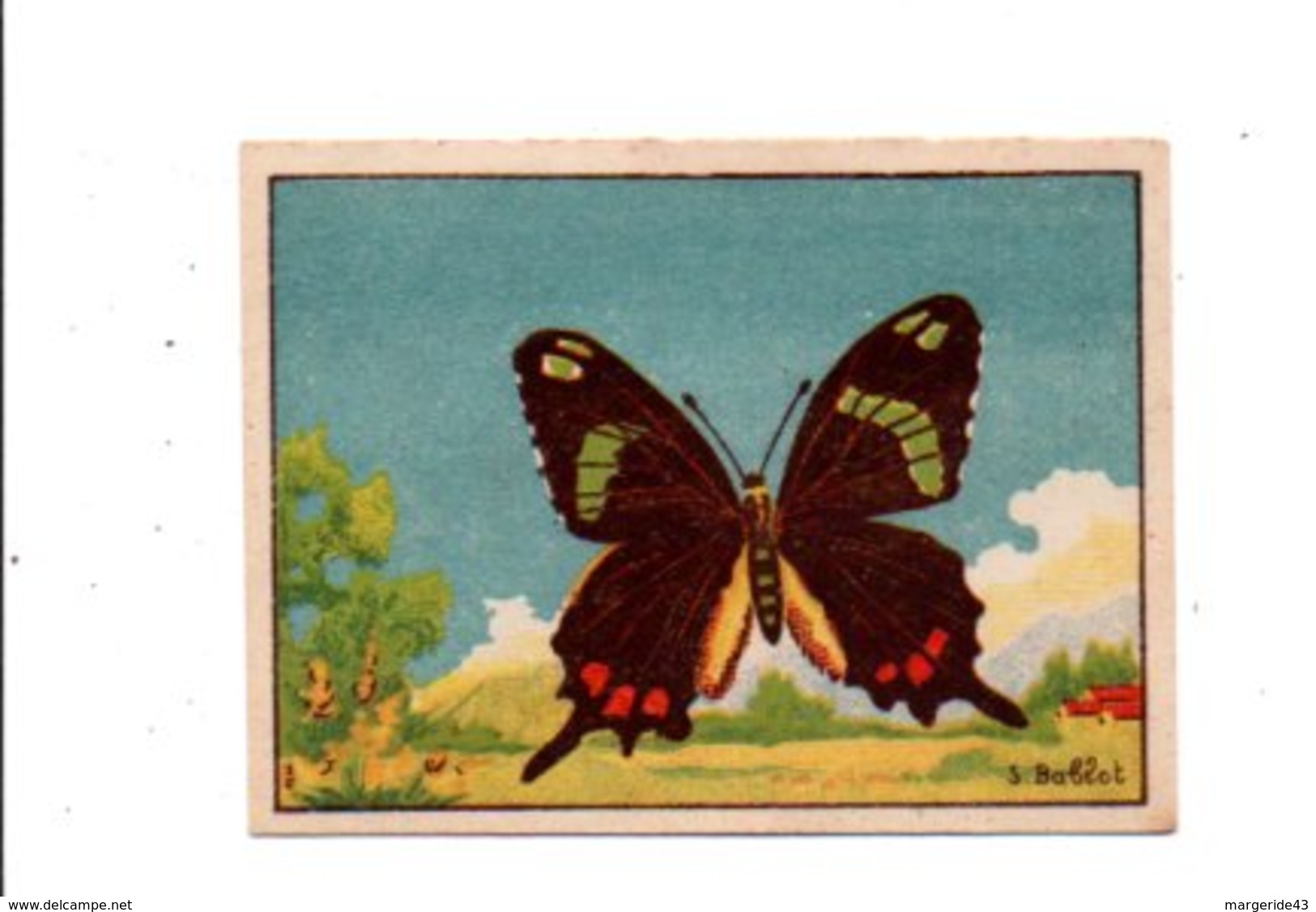 CHROMOS BON POINT - PAPILLONS - PAPILIO GUNDLACH - Chèques & Chèques De Voyage