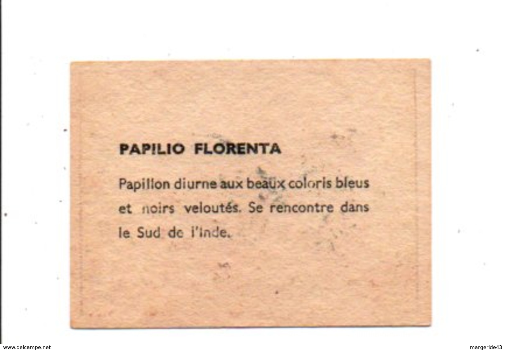 CHROMOS BON POINT - PAPILLONS - PAPILIO FLORENTA - Cheques & Traveler's Cheques