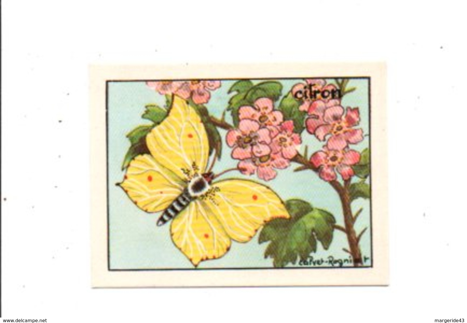 CHROMOS BON POINT - PAPILLONS - CITRON - Cheques En Traveller's Cheques