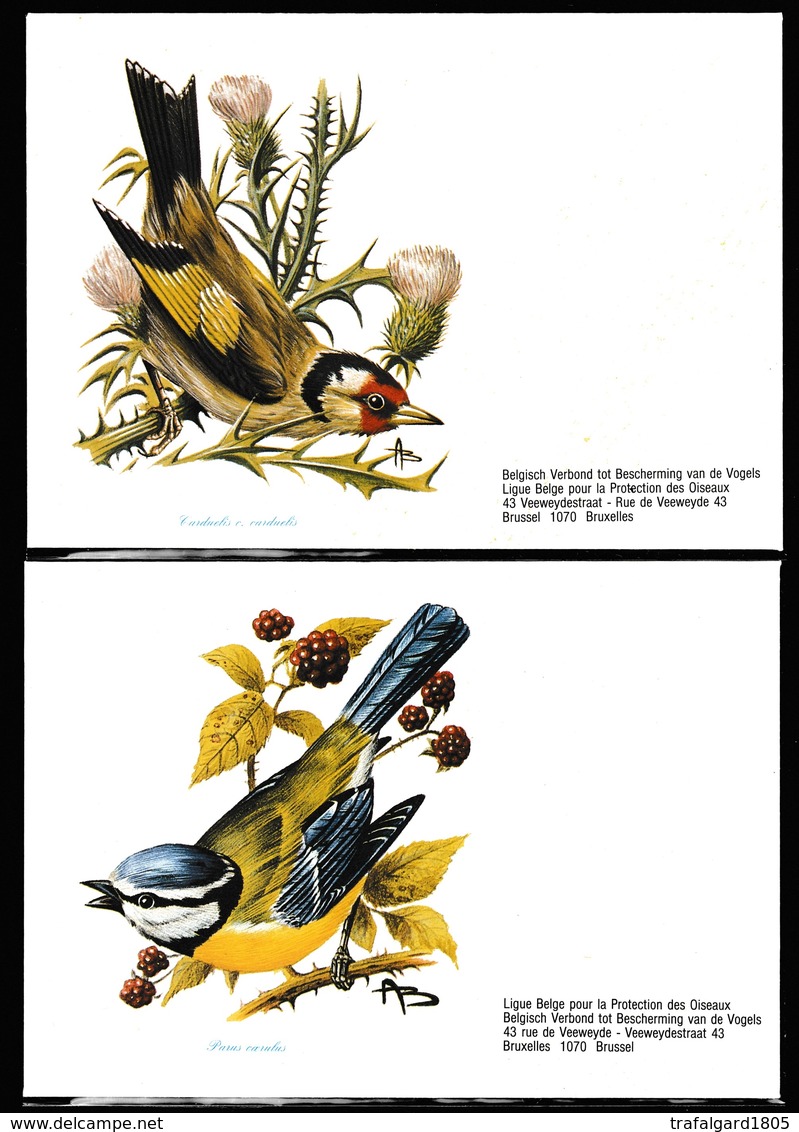 960.BUZIN  LIGUE ROYALE BELGE  PROTECTION DES OISEAUX - 1985-.. Oiseaux (Buzin)