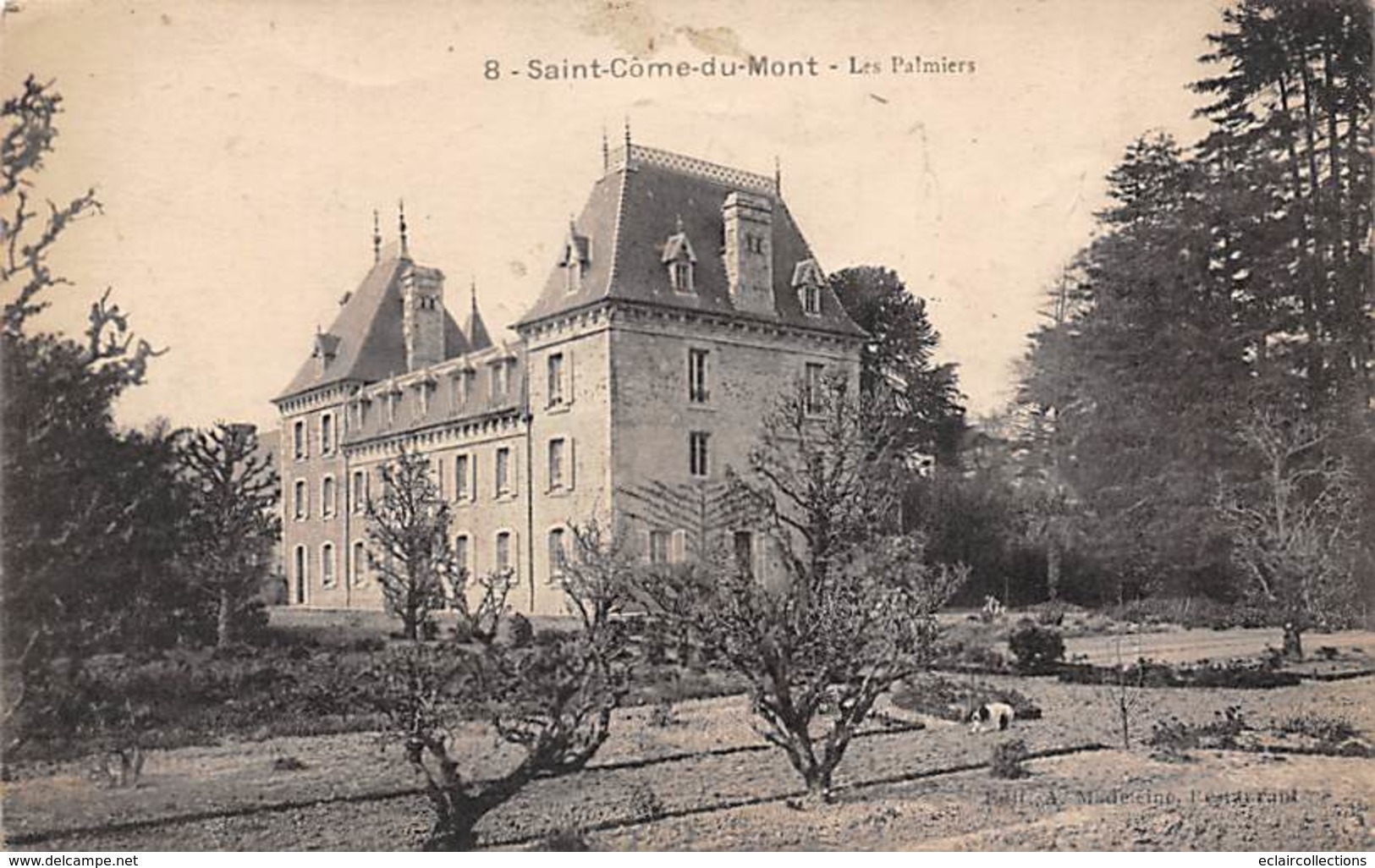 Saint  Côme Du Mont     02       Les Palmiers       (voir Scan) - Other & Unclassified