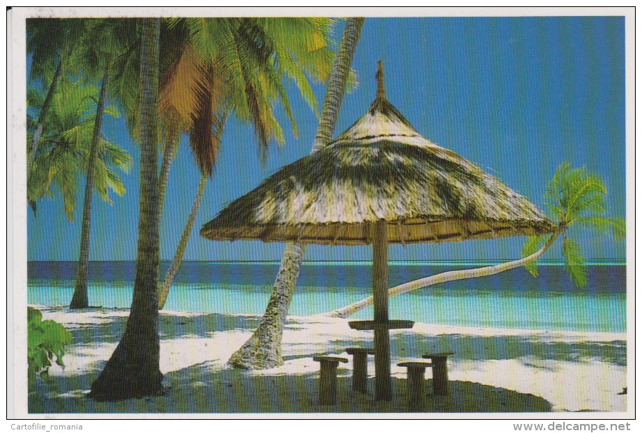 Maldives Circulated Postcard (ask For Verso / Demander Le Verso) - Maldive