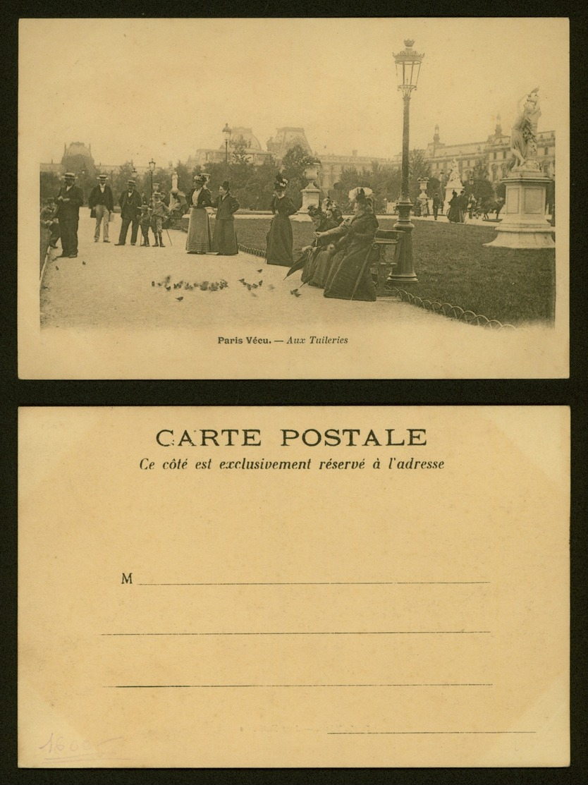 CARTE POSTALE FRANCE - PARIS VECU - AUX TUILERIES - LL783 - Autres & Non Classés