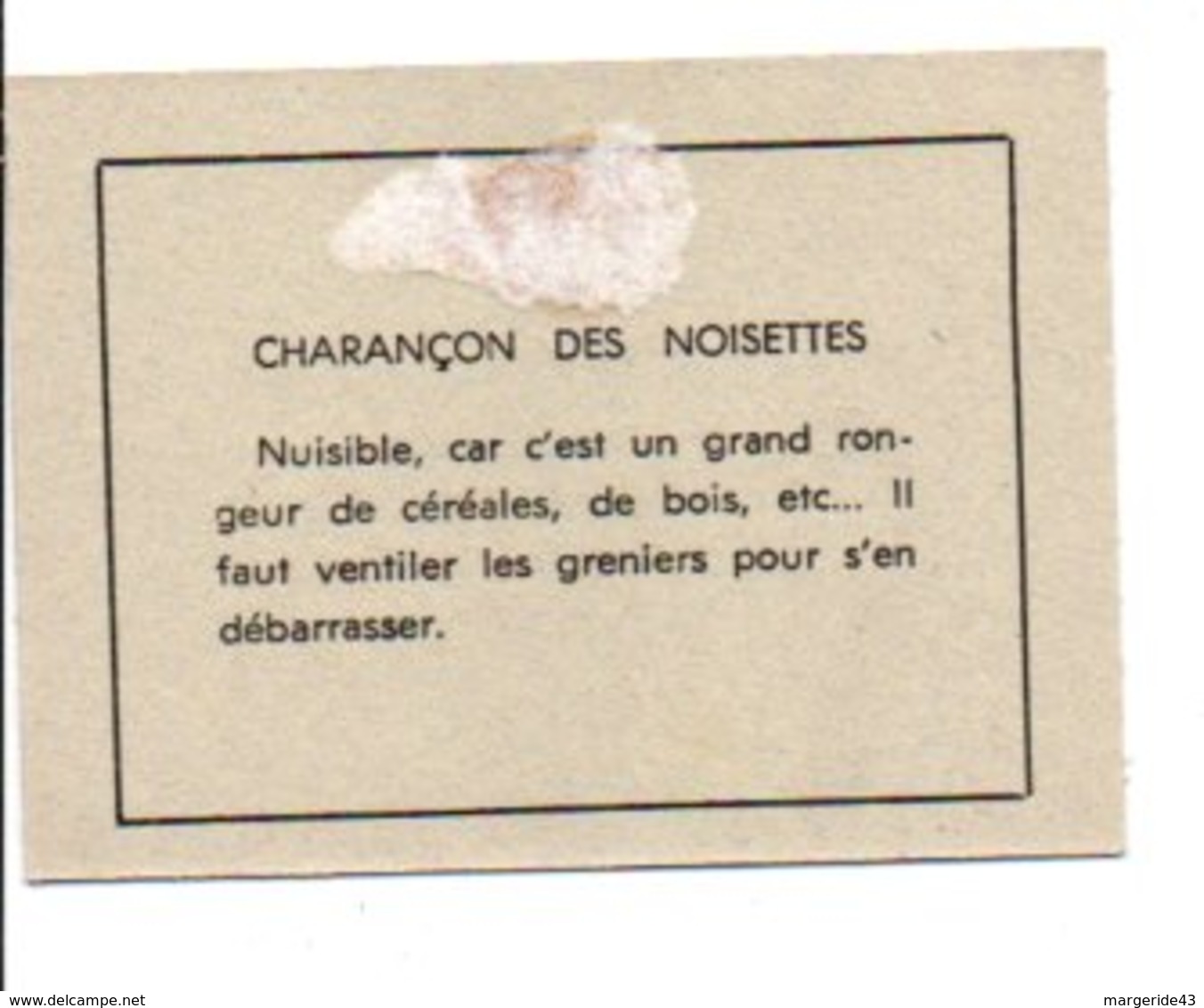 CHROMOS BON POINT - FLEURS - INSECTES - CHARANCON DES NOISETTES - Andere & Zonder Classificatie