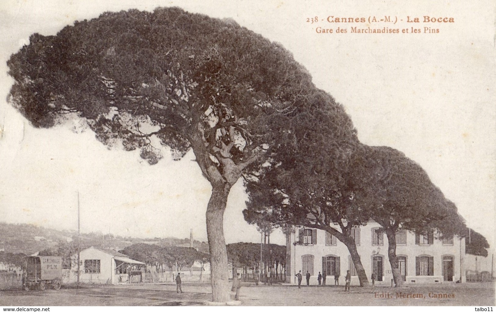 06 - Cannes - La Bocca - Gare Des Marchandises Et Les Pins - Cannes