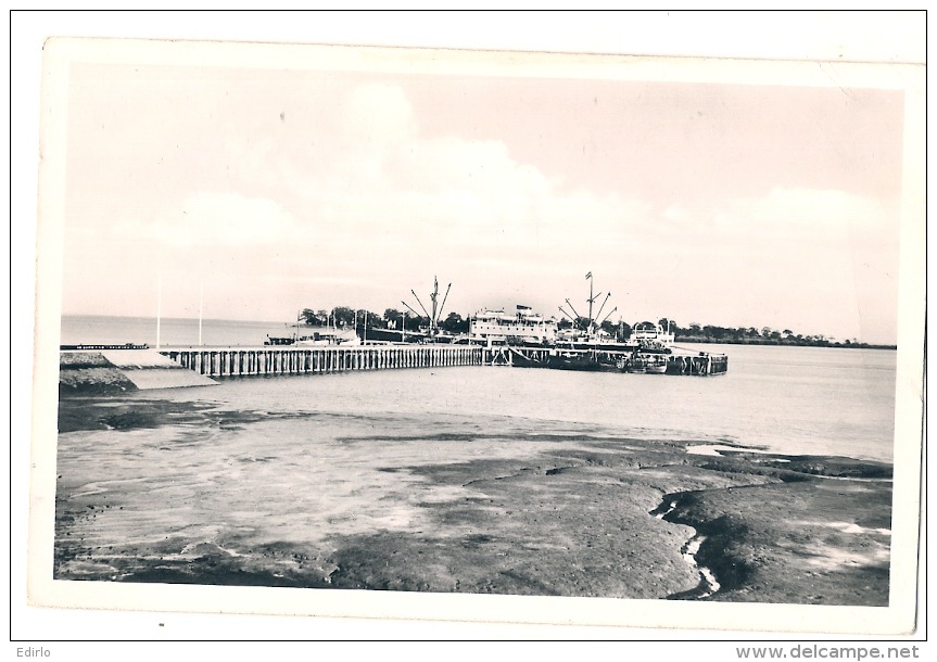 ***   Pointe Cals Bissau - Timbre Décollé - - Guinea-Bissau