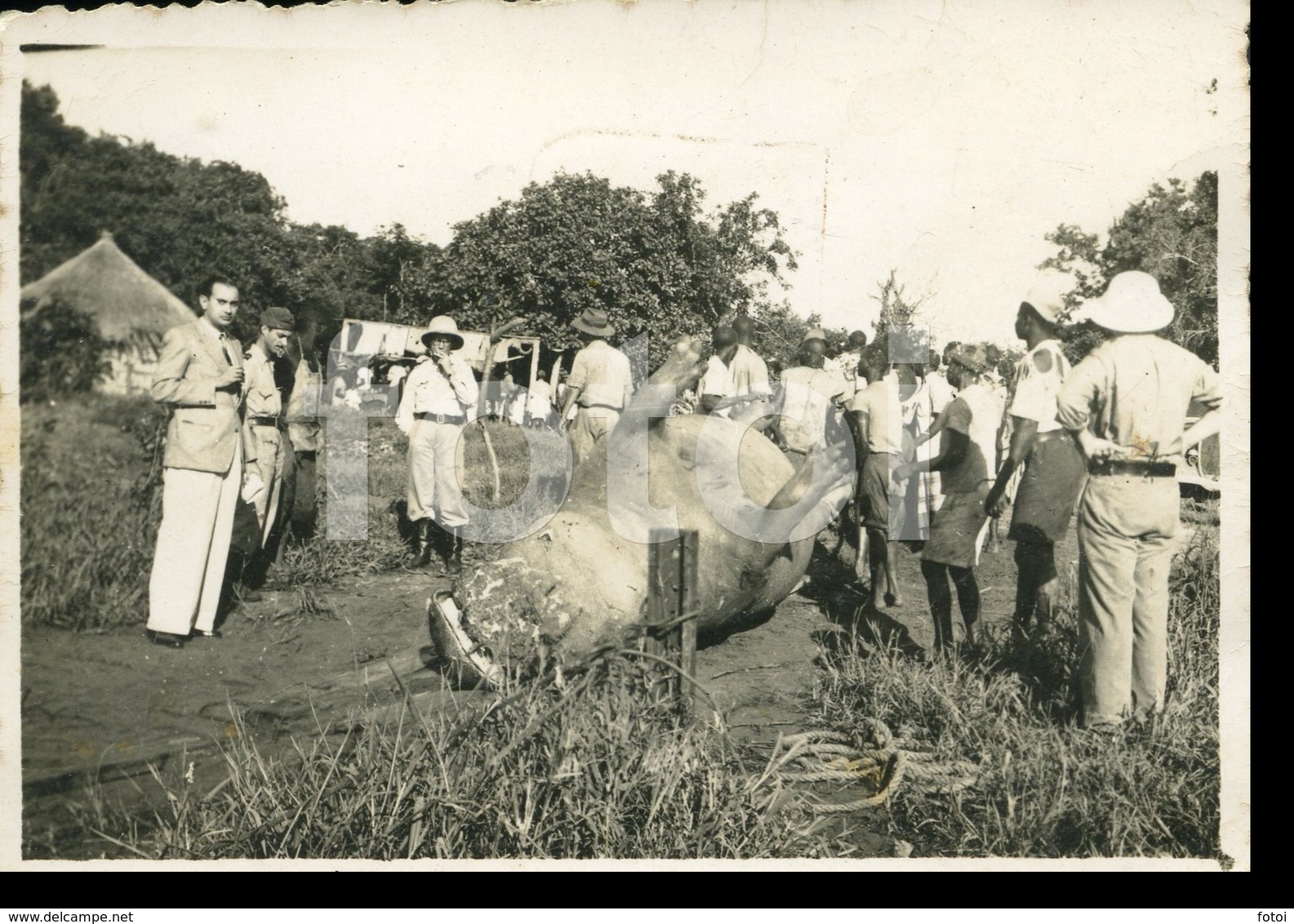 1946 ORIGINAL AMATEUR PHOTO FOTO HUNTER HIPPOPOTAMUS SALAMANGA MOZAMBIQUE MOÇAMBIQUE AFRICA AFRIQUE - Africa