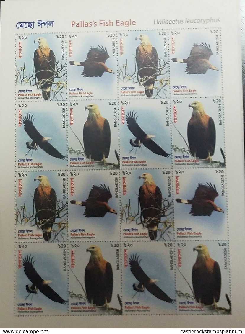 O) 2018 BANGLADESH, BIRDS OF PREY, HALIAEETUS LEUCORYPHUS -PALLAS'S FISH EAGLE, SHEET MNH - Bangladesh