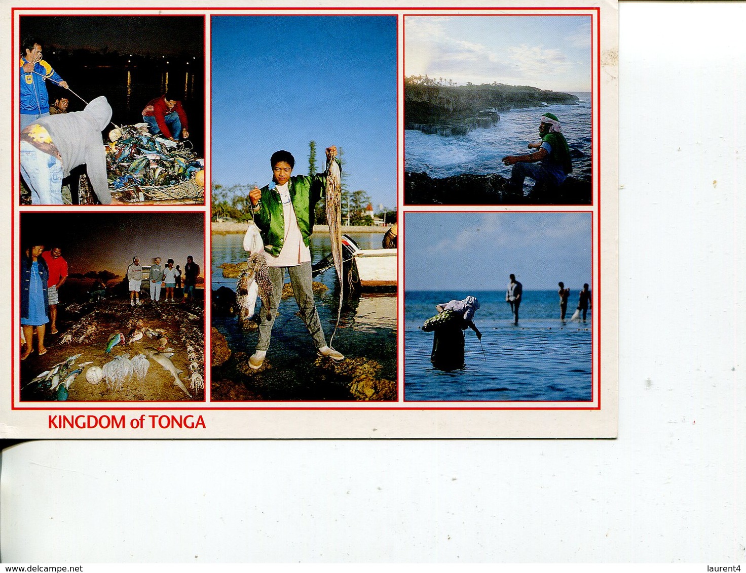 (201) Kingdom Of Tonga Postcard - Tonga