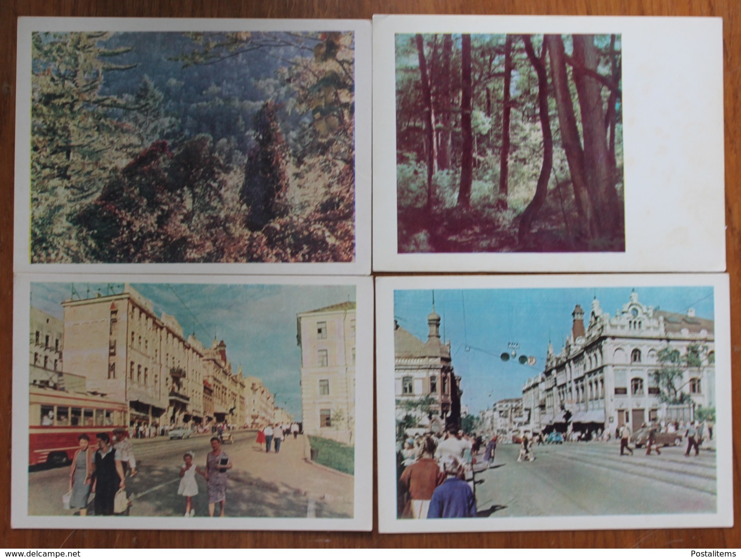 Russia. Types Of Vladivostok And Primorye. Set Of 11 Old Postcards. 1962 - Russie