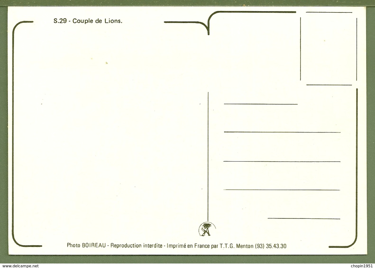 CPM - COUPLE DE LIONS - Lions