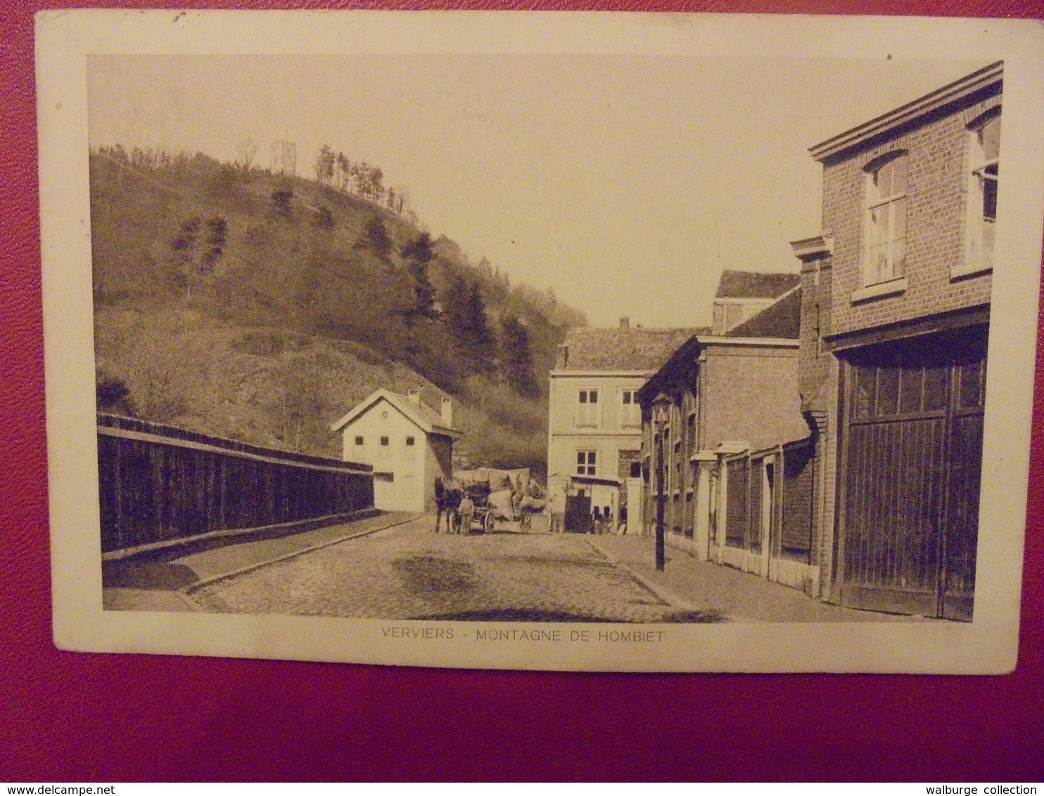 Verviers :Montagne De Hombiet-ATTELAGE (V66) - Verviers