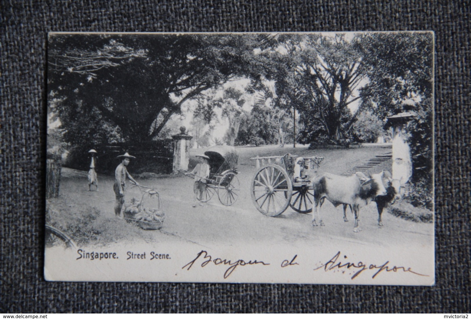 SINGAPOUR - Street Scene - Singapore