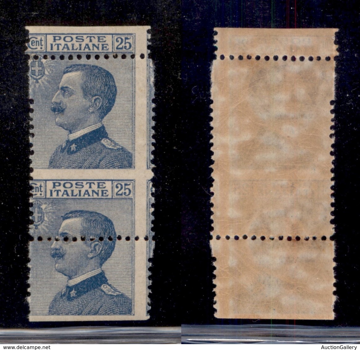 REGNO D'ITALIA - 1908 - 25 Cent Michetti (83) - Formato Anomalo (4 Cm. In Verticale) Per Salto Di Dentellatura - Gomma I - Otros & Sin Clasificación