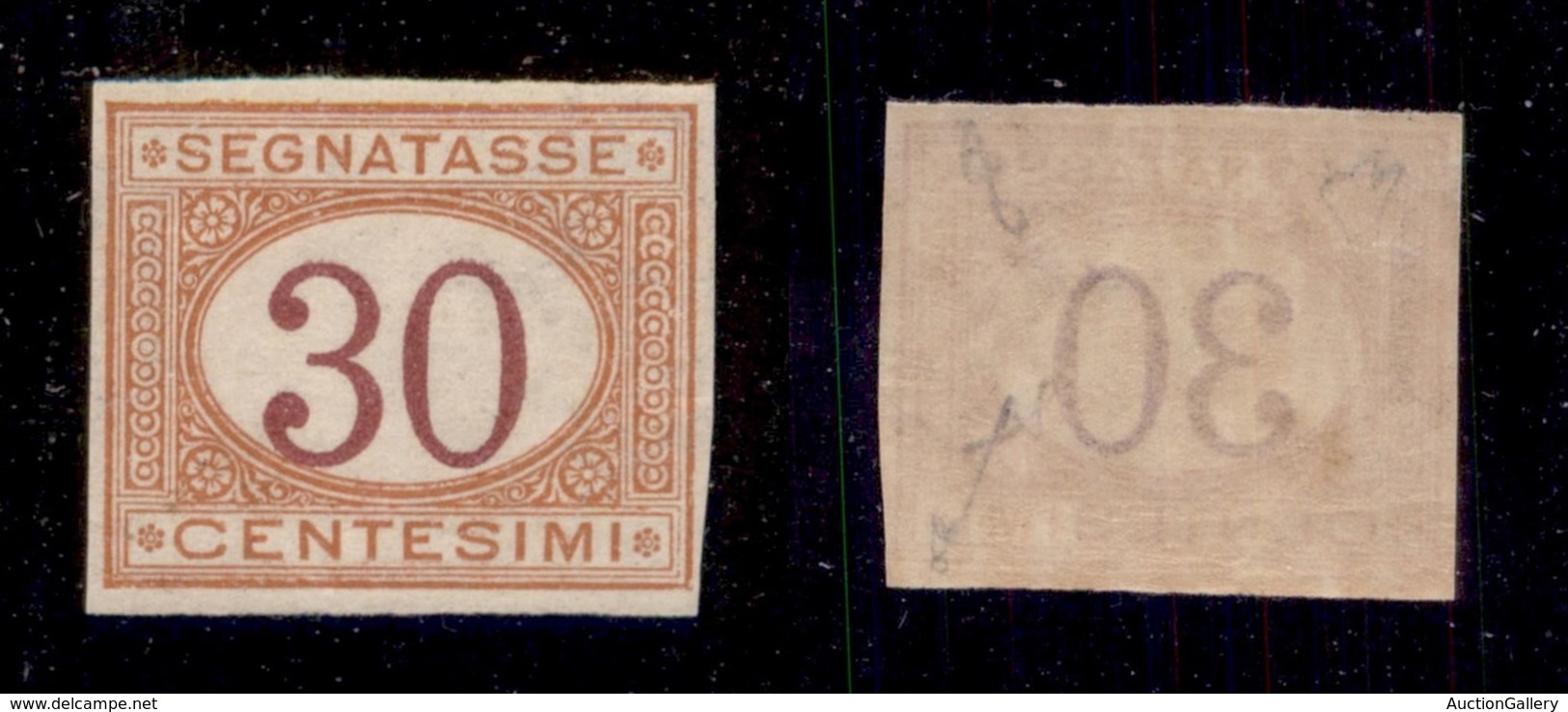 REGNO D'ITALIA - 1890 - Segnatasse - 30 Cent (23g) Non Dentellato - Gomma Integra - Fiecchi + Cert. AG (7.500) - Otros & Sin Clasificación