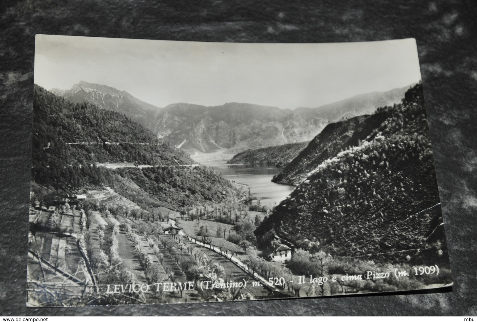 3020- Levico Terme, Il Lago E Cima Pizzo - 1968 - Autres & Non Classés