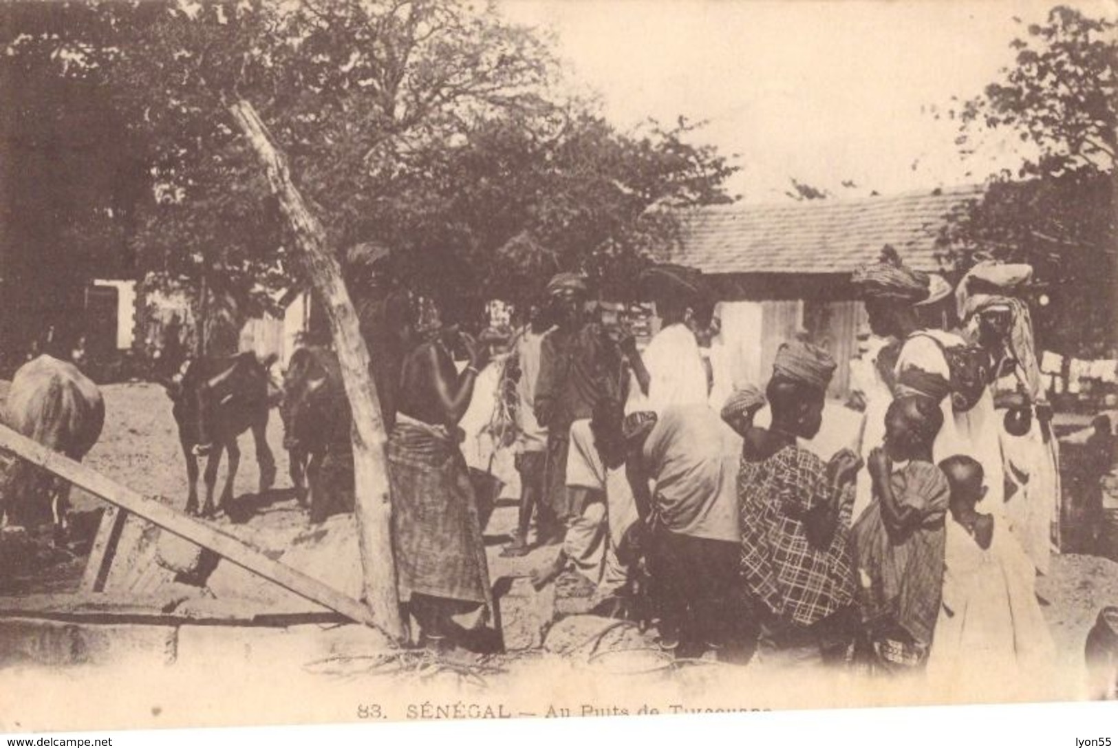 Au Puits De Tivaouane - Senegal