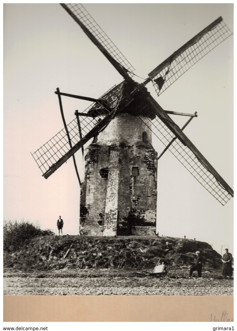 Hallaar: Oude Foto Van De Stenen Molen (22,5x30cm Op Karton Van 30x40cm Geplakt) - Heist-op-den-Berg