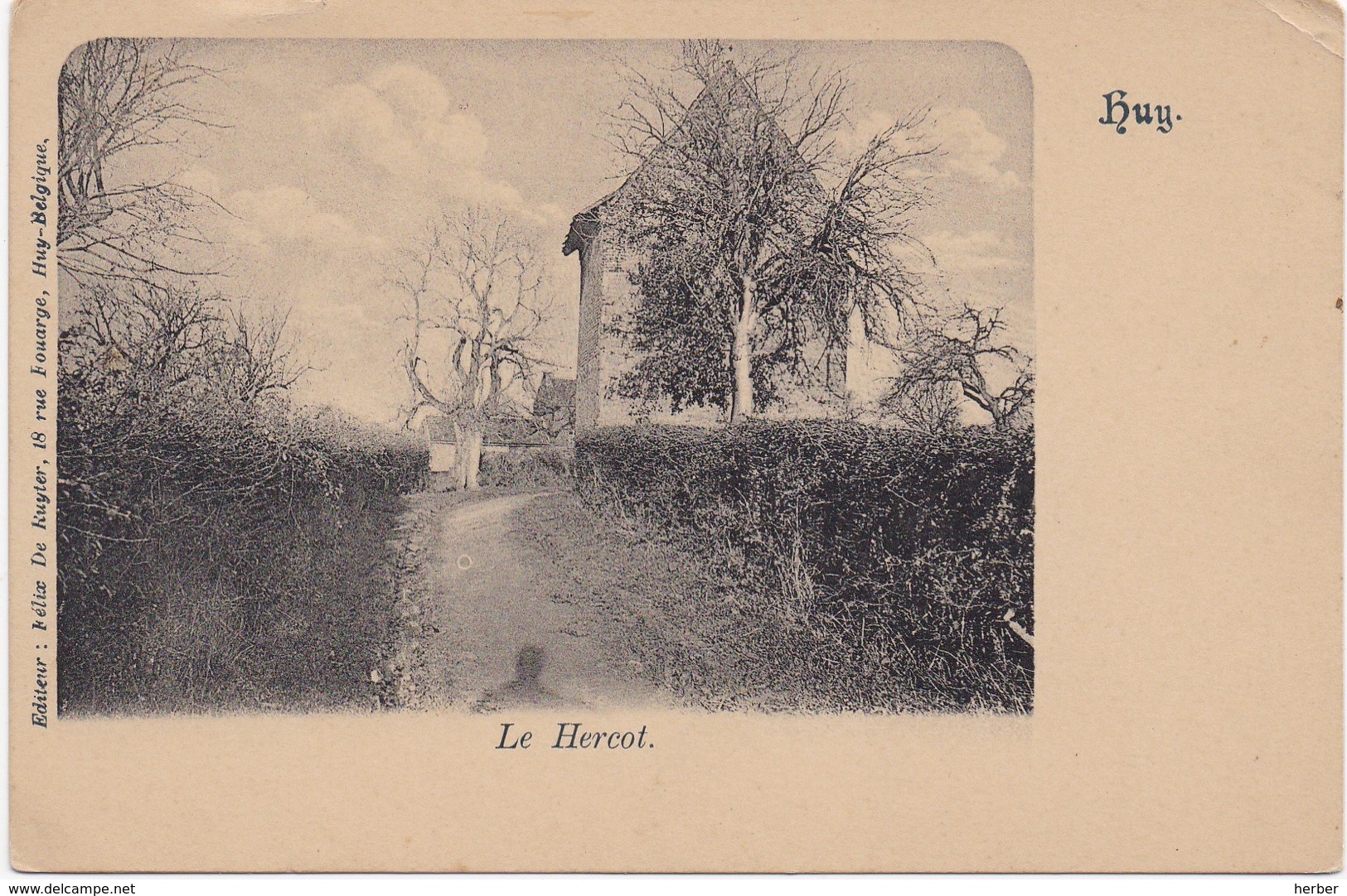 Lot 50x - HUY - HOEI - La route de Namur - Petit Modave - Tier de Huy - Panorama pris de la route de Waremme - Environs