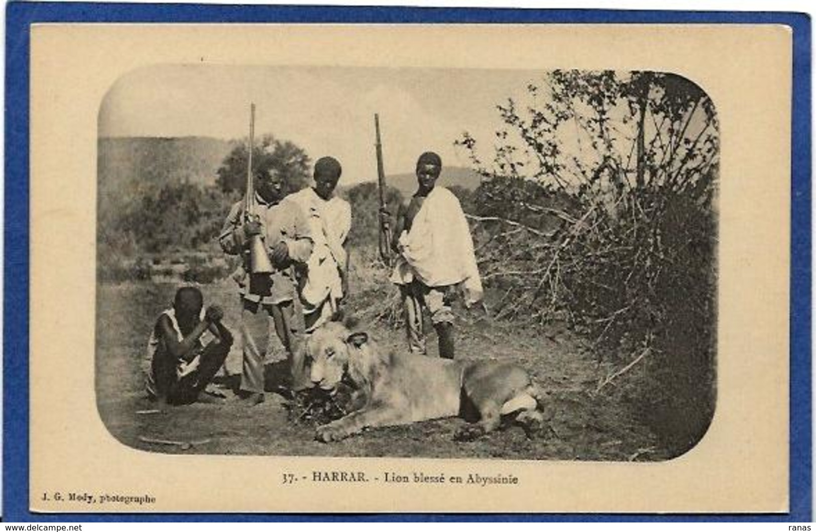 CPA Chasse Chasseur Lion Ethiopie Ethiopia Abyssinie Ethnic Afrique Noire Type Non Circulé - Äthiopien