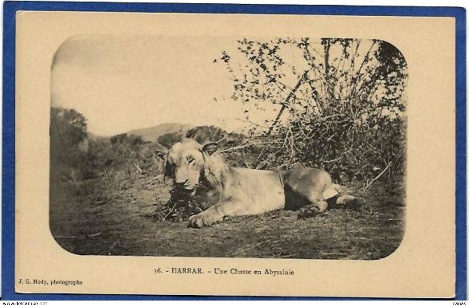 CPA Chasse Chasseur Lion Ethiopie Ethiopia Abyssinie Ethnic Afrique Noire Type Non Circulé - Ethiopië