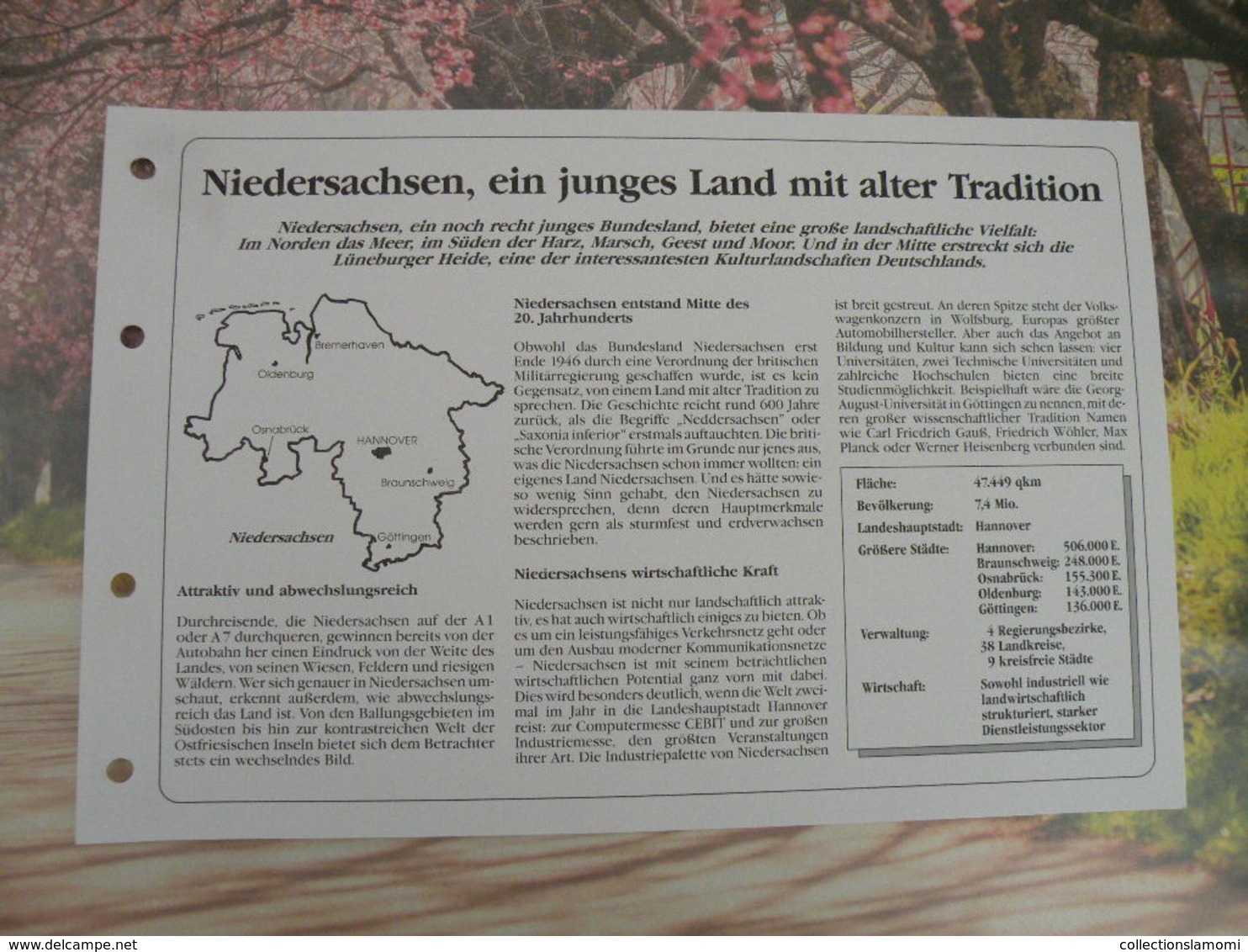 Télécartes Neuf FDC > Régionales Et Armoiries - Niedersachsen - 15.7.1993 - FDC 1er Jour - R-Series : Régionales