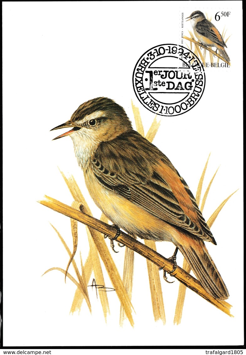 943.BUZIN  LA  PHRAGMITE DES JONCS - 1985-.. Oiseaux (Buzin)