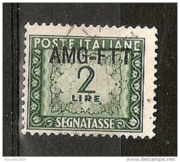 1949-54 TRIESTE A USATO SEGNATASSE 2 LIRE - RR7375 - Postage Due