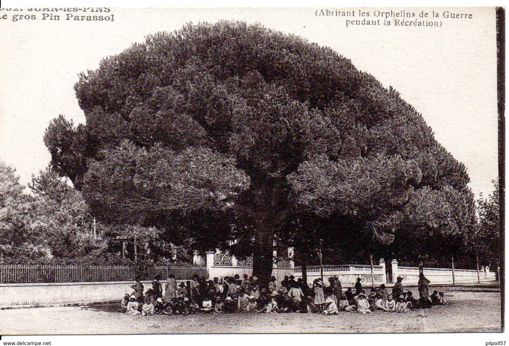 06 -JUAN LES PINS - Le Gros Pin Parassol Abrtant Les Orphelins De La Guerre Pendant La Récréation - Autres & Non Classés