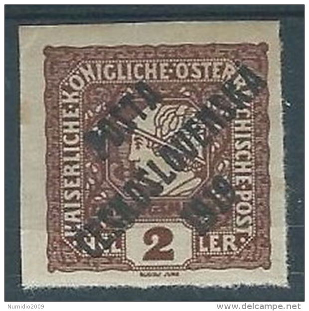 1919 CECOSLOVACCHIA SOPRASTAMPATO 2 H AUSTRIA G. 20 MH * - CZ025 - Nuovi