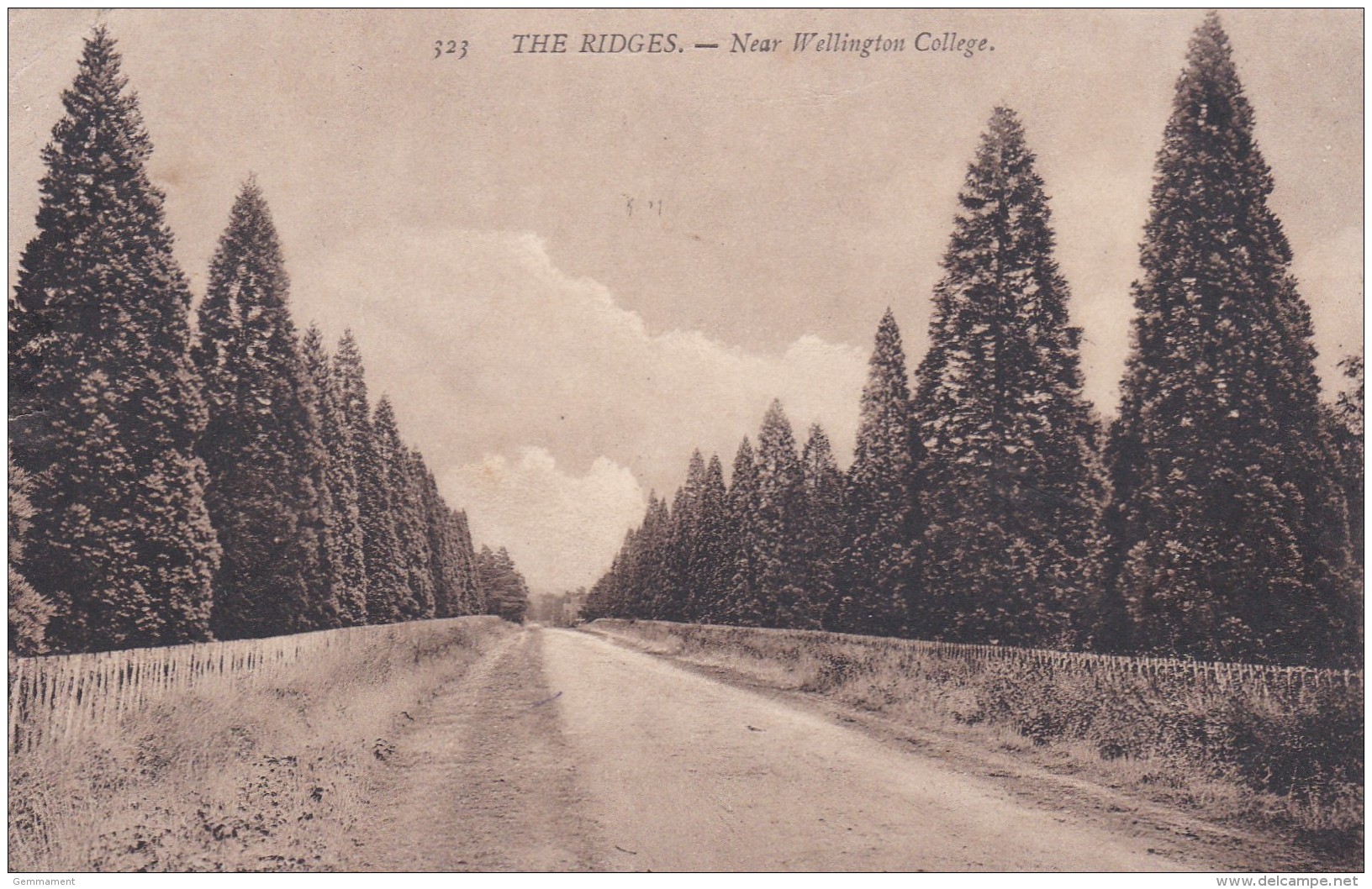 NEW WELLINGTON COLLEGE - THE RIDGES - Other & Unclassified